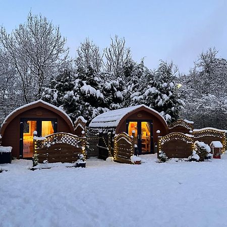 Conifer Cabins Fort William Ngoại thất bức ảnh