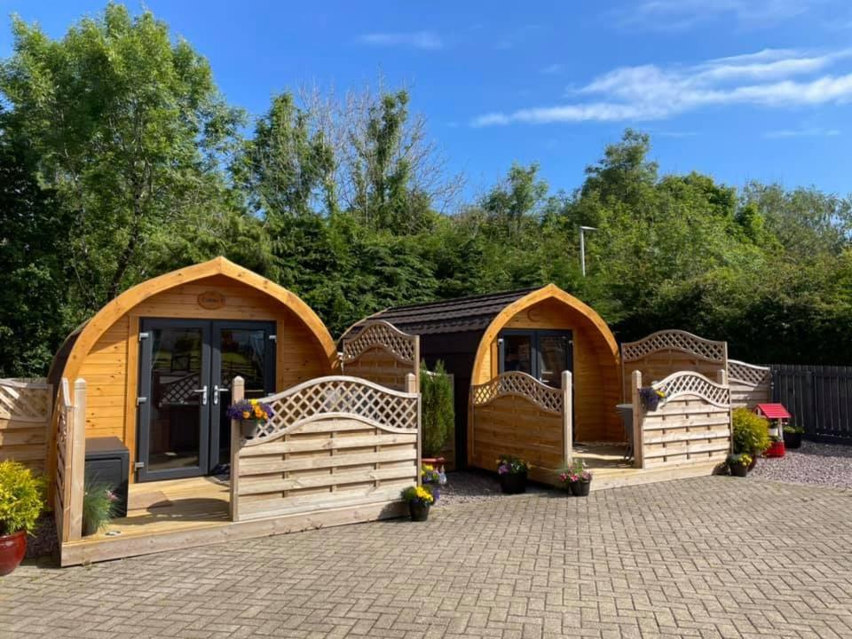 Conifer Cabins Fort William Ngoại thất bức ảnh